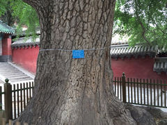 iphone_upload_pic-少林寺景区