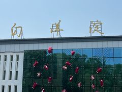 -白洋淀景区