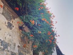 -山塘街