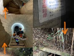 -黄埔油麻山森林公园