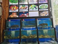 水产区-老东镇啤酒屋海鲜加工·蒸汽海鲜·海鲜烧烤(台东店)