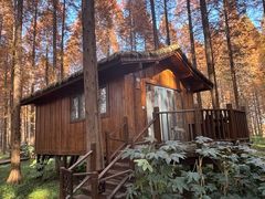 -黄海国家森林公园