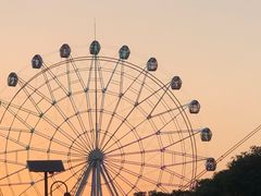 -花博汇(知音花月夜)