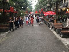 -泡桐树街