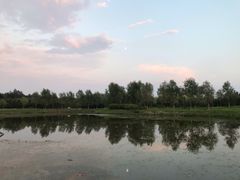 -东郊湿地公园