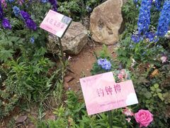 -人民公园(罗湖区)