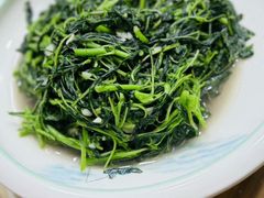 -小小饭店·休闲农庄·安吉松树林里的农家菜