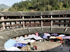 -福建土楼（华安）旅游区•大地土楼群