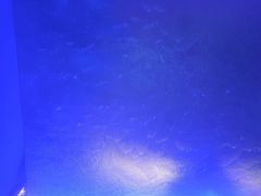 -唐宫足道·SPA·住宿24H会所(木渎店)