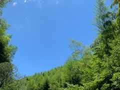 -将军关探险漂流