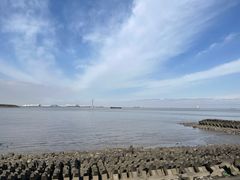 -上海滨江森林公园