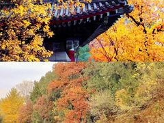 -香山公园