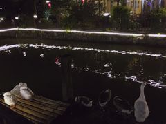 -香山小厨(南联路店)