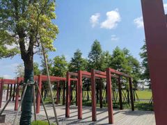 -春花秋色城市公园