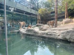 -深圳野生动物园