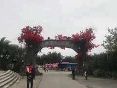 -天适樱花悠乐园