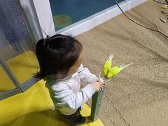 -上海大自然野生昆虫馆(东方明珠·爬宠昆虫探索中心)