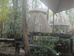 -二荆条·城市森林火锅旗舰店