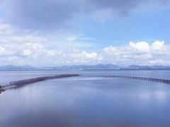 -漩门湾国家湿地公园