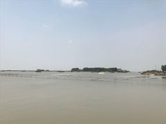 -杨辉饭店