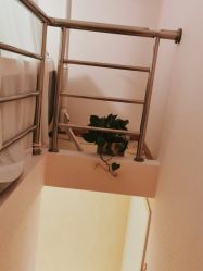 -薇兰专业脱毛连锁机构