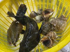 -鑫鸿达·海鲜闽菜热炒小馆(中山路店)