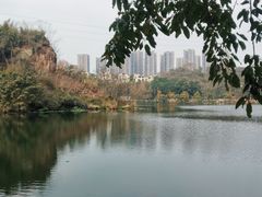-重庆彩云湖湿地公园