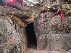 -芦芽山旅游度假区