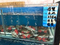 -渔民船说·北塘海鲜·天津菜·海肠捞饭(北塘古镇店)