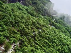 -瓦屋山景区