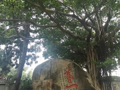 -乌山风景区