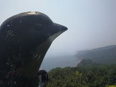 -燕窝岭