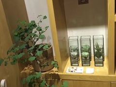 -柴务处·柴犬主题狗咖