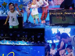 -烟台海昌鲸鲨海洋公园