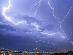 -猫咪博物馆(顶澳仔猫街店)