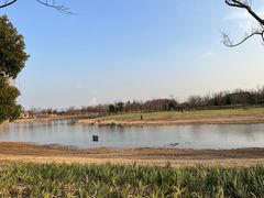 -上海滨江森林公园