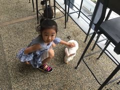 -田园东方蜜桃村的田野营地