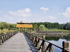 -溱湖国家湿地公园