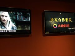 -大地影院(合肥铜陵路桥店)