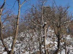 -终南山南五台景区