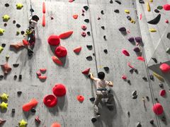 -尽峰攀岩 Acme Climbing