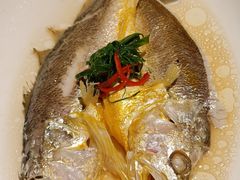 -金美华轩(东方路齐鲁店)
