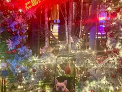 -THE CANNERY&JUJU 新鲜海鲜·牛排美食酒廊
