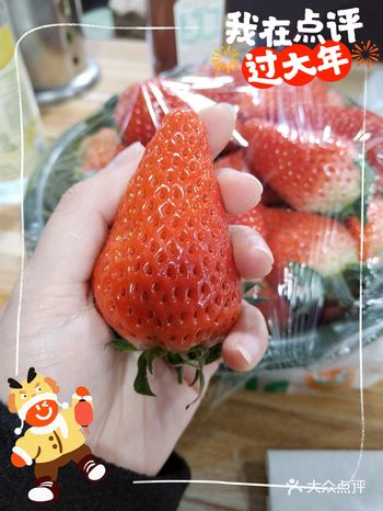 2023年度最后一次吃草莓VS2024年度第一次吃草莓。