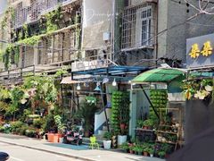 -溪岸路花鸟市场