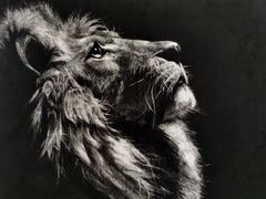 -信马画室 成人零基础到个人创作画室(亚运村店)