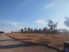 -合肥滨湖国家森林公园