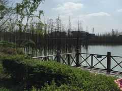 -白鹭湾湿地公园