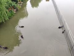 -浙江越秀外国语学院