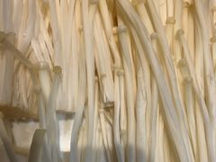 -草原塞蛮羊火锅城(港湾店)